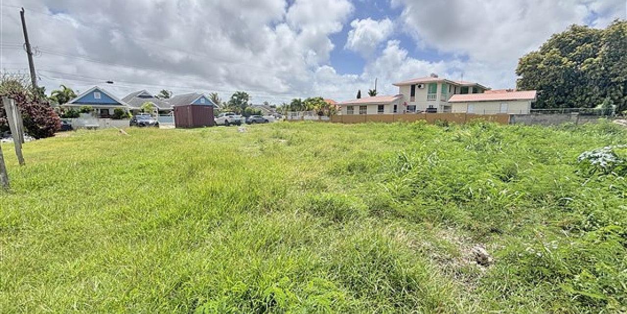 Lot 117 Durants & Balls