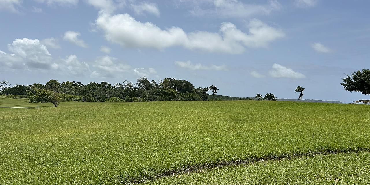 Apes Hill, Holders Meadow Lot H16