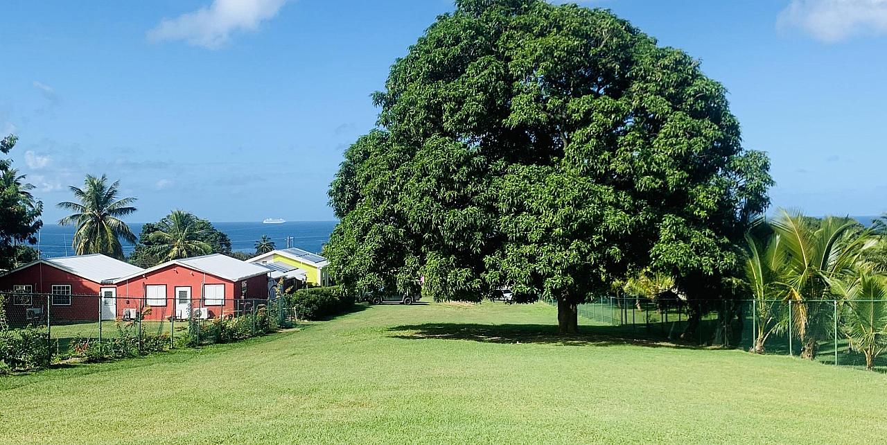 The Ivy Development Land Project