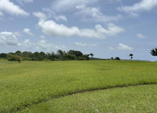 Land for sale In Barbados