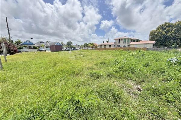 Lot 117 Durants & Balls