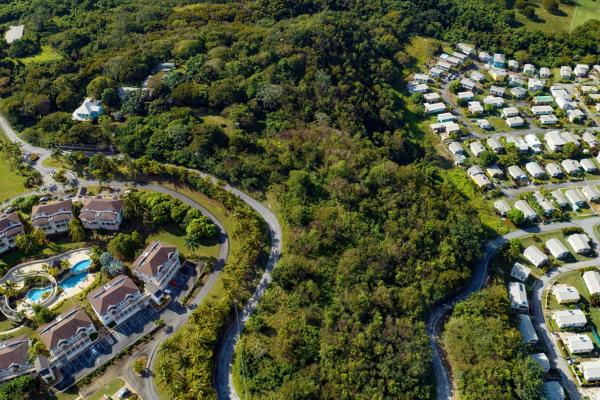 Mount Brevitor Plantation