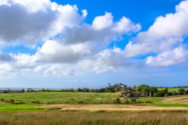 Lion Castle Estate -Land for sale Barbados