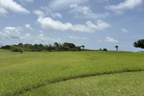 Apes Hill, Holders Meadow Lot H16