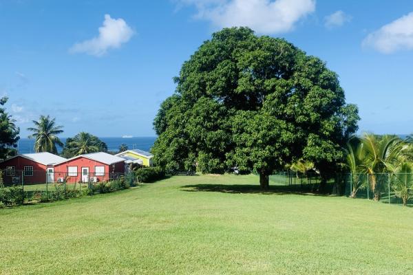 The Ivy Development Land Project