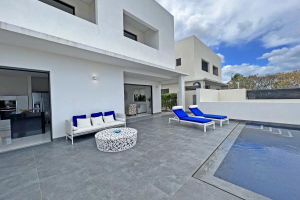 Hocus - Mount Standfast 