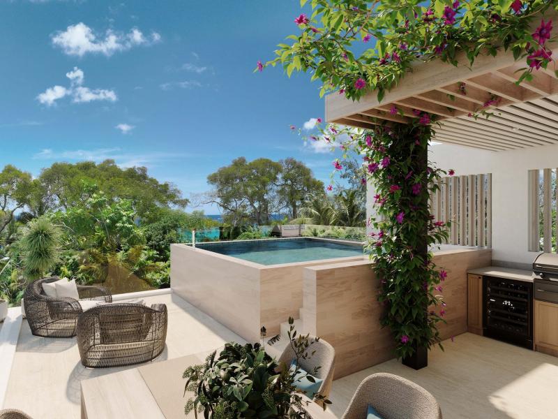 Callidora Villas Hummingbird , Gibbes , St Peter , West Coast  