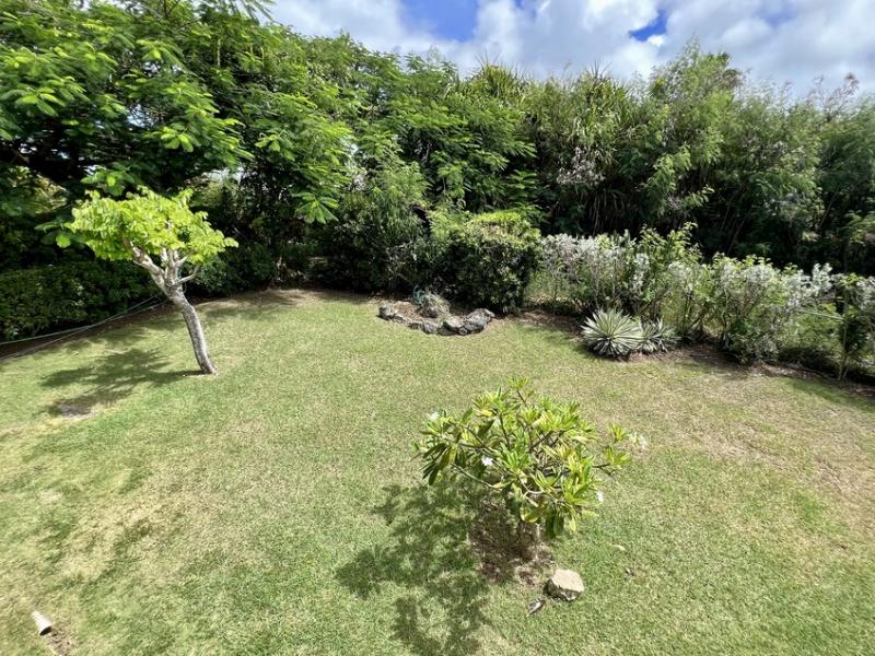 Mount Standfast Plantation 3 , St James , West Coast , Westmoreland  