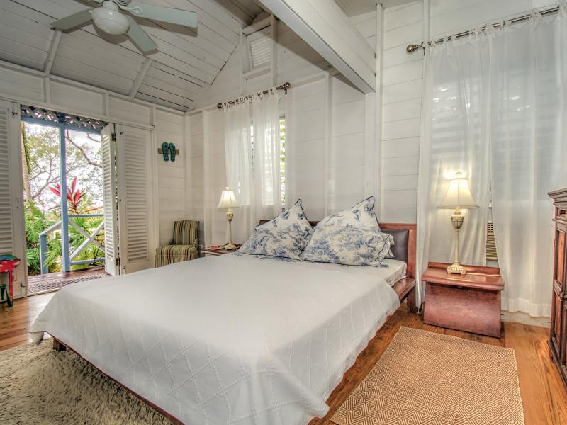 Holders Plantation House , Polo Ridge , St James , West Coast  