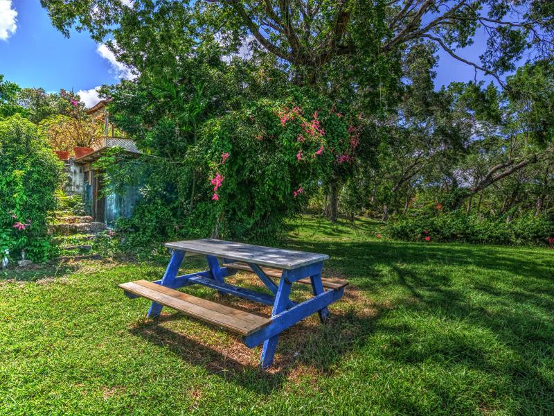 Holders Plantation House , Polo Ridge , St James , West Coast  