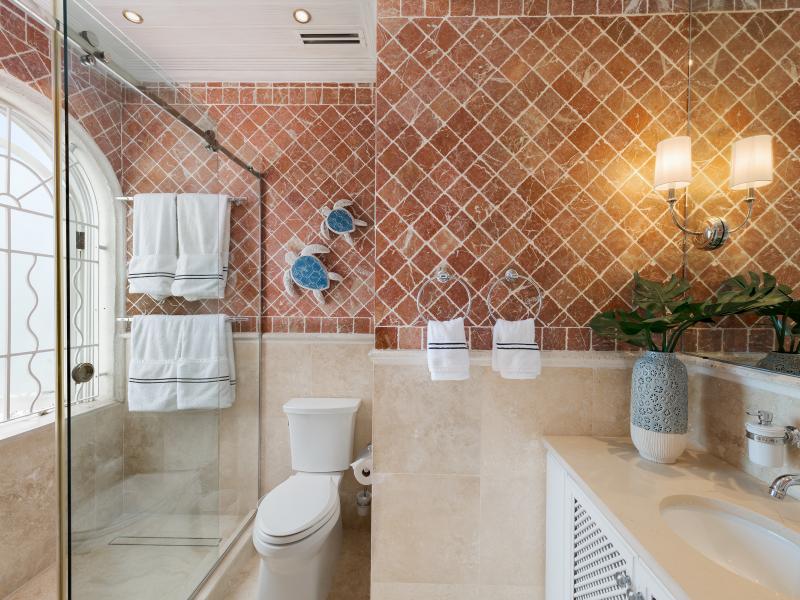 Old Trees – Cyano , Beach Front , Old Trees , Paynes Bay , St James , West Coast  