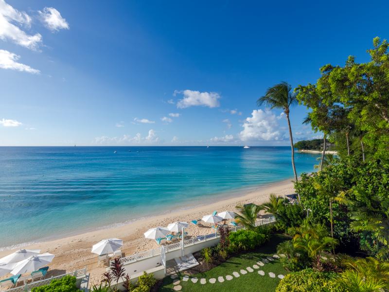Old Trees – Cyano , Beach Front , Old Trees , Paynes Bay , St James , West Coast  