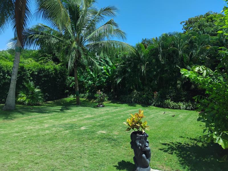 Hakuna Matata , Holetown , St James , West Coast  