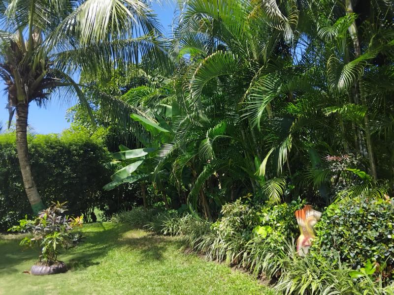 Hakuna Matata , Holetown , St James , West Coast  