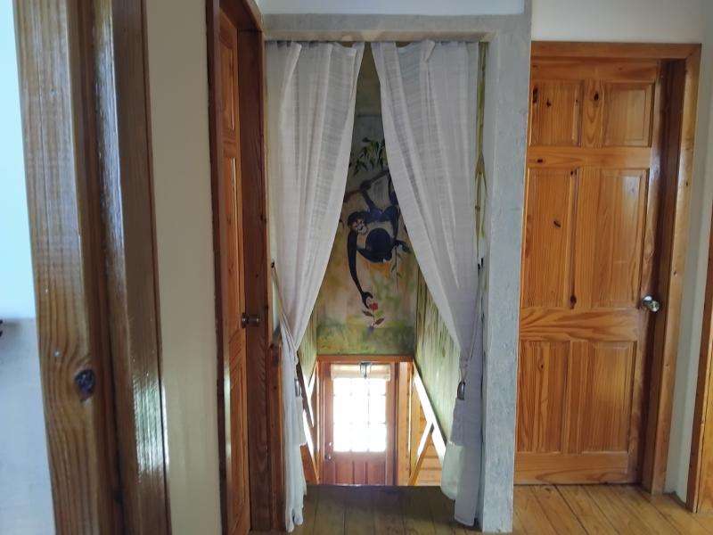 Hakuna Matata , Holetown , St James , West Coast  