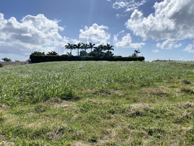 Lancaster Lot 1C A , St James , West Coast  