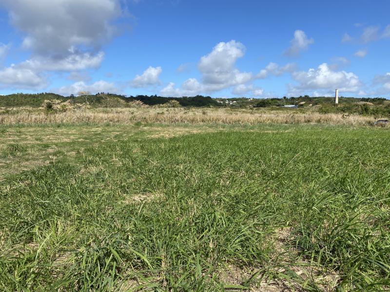 Lancaster Lot 1C A , St James , West Coast  