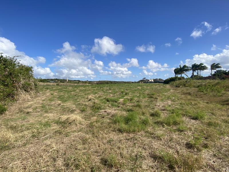 Lancaster Lot 1CB , St James , West Coast  