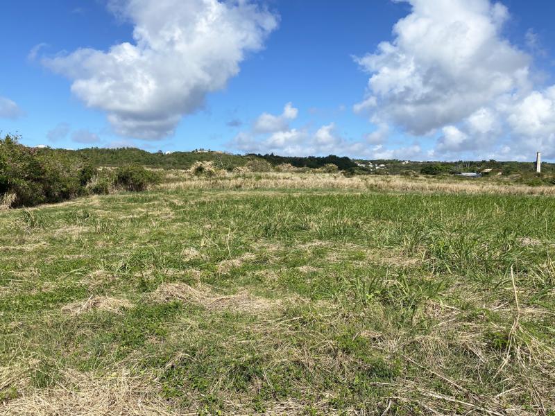 Lancaster Lot 1CB , St James , West Coast  