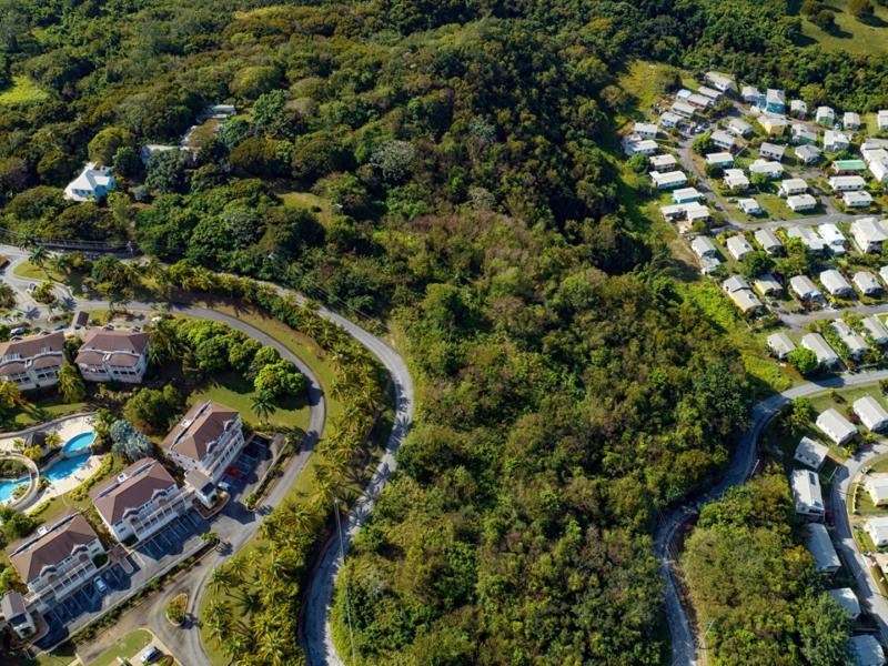 Mount Brevitor Plantation , St Peter , West Coast  