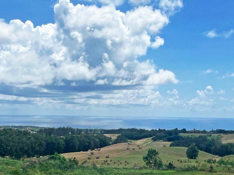 Sunset Views , St Thomas  