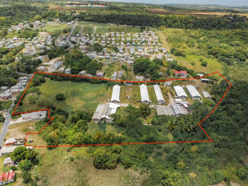 Rock Hall Land , St Thomas , West Coast  