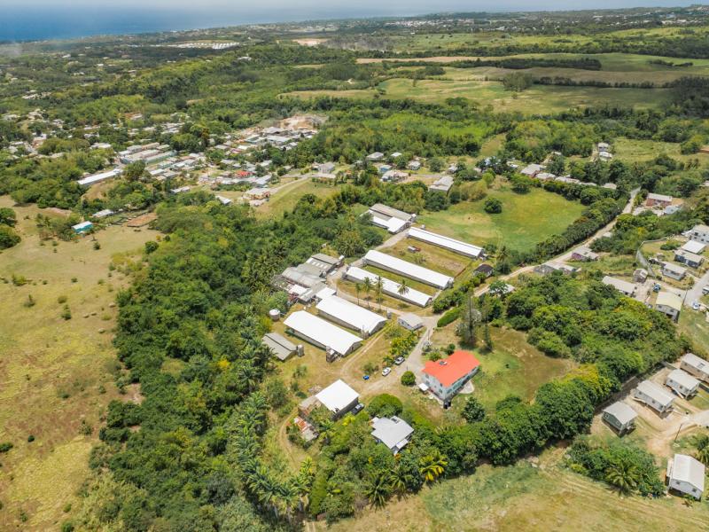 Rock Hall Land , St Thomas , West Coast  