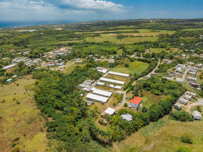 Rock Hall Land , St Thomas , West Coast  