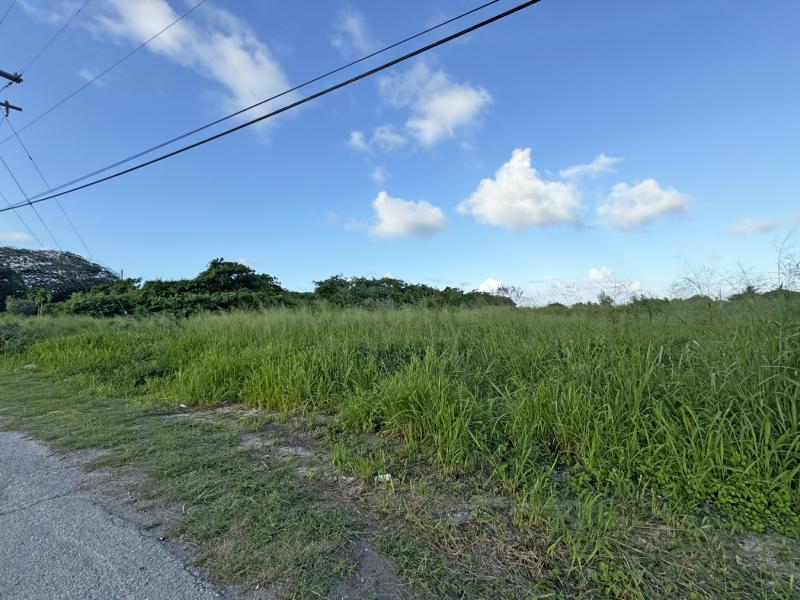Sandford Lot 1 , St Philip  