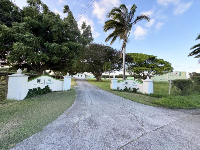 Sandford Lot 1 , St Philip  