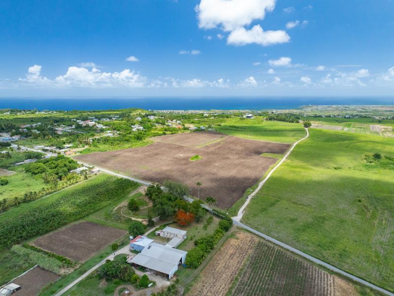 Mount Pleasant Estate , St Philip  
