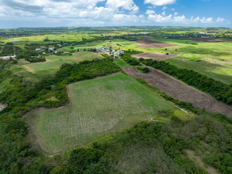 Mount Pleasant Estate , St Philip  