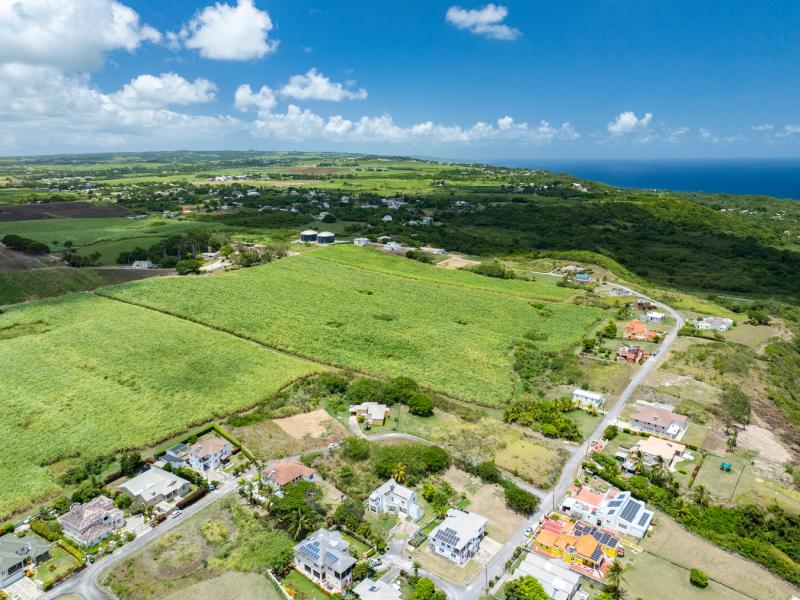 Mount Pleasant Estate , St Philip  