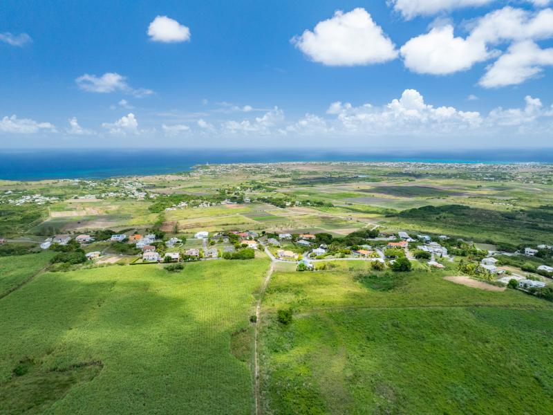 Mount Pleasant Estate , St Philip  