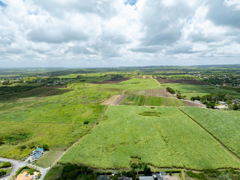 Mount Pleasant Estate , St Philip  