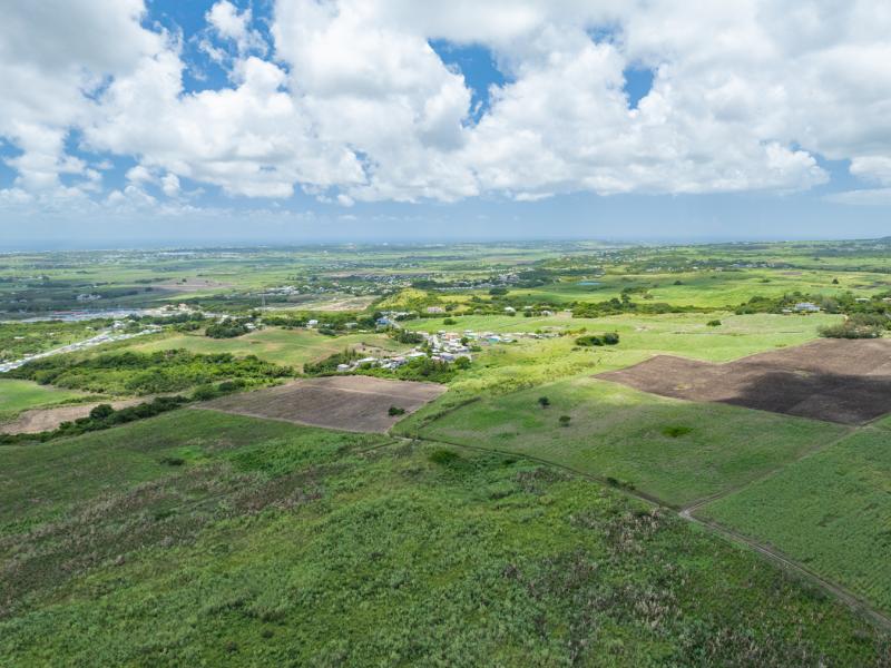 Mount Pleasant Estate , St Philip  