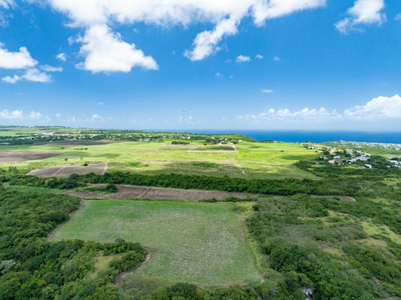 Mount Pleasant Estate , St Philip  