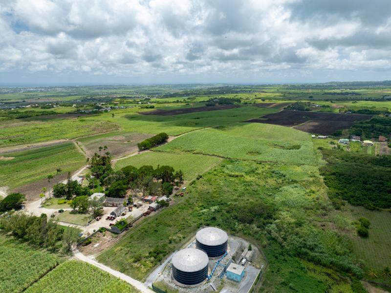 Mount Pleasant Estate , St Philip  