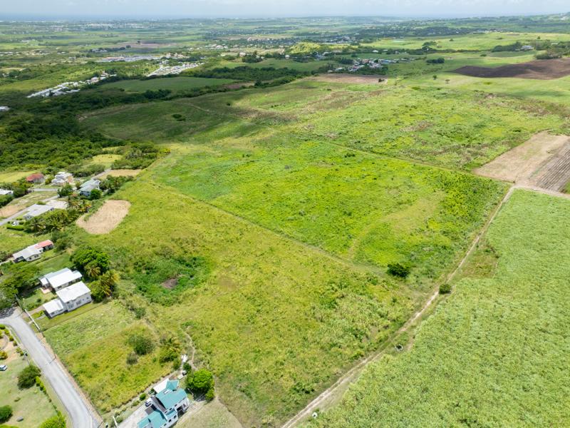 Mount Pleasant Estate , St Philip  