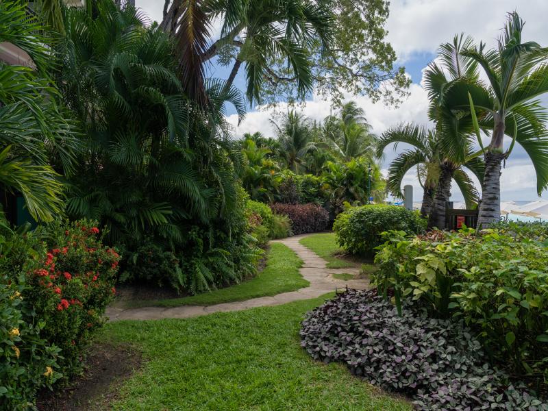 Coral Cove 10  , Beach Front , Coral Cove , St James , West Coast  