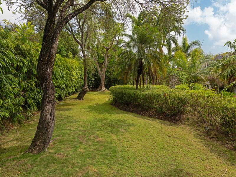 The Arrows, Sugar Hill , St James , Sugar Hill , West Coast  