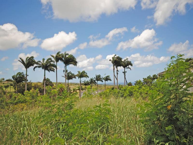 Westmoreland Ridge Lot 10 and 10 A , St James , West Coast , Westmoreland  
