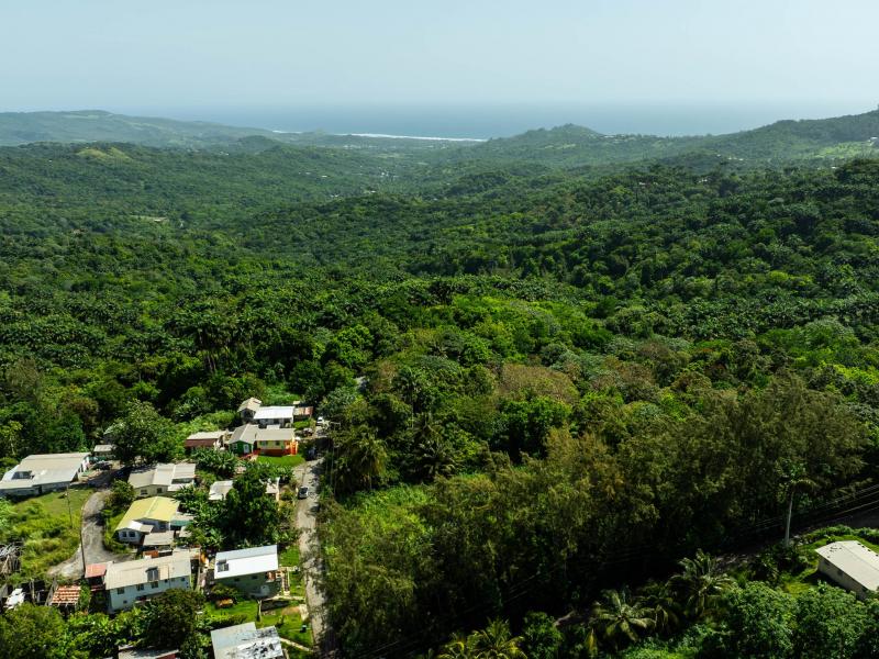 Lot 2 Bloomsbury , St Thomas  