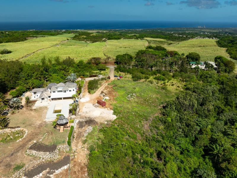 Mount Prospect land  , St Peter  