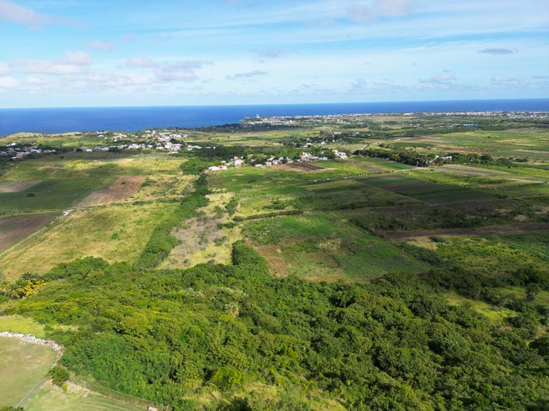 Mount Pleasant Lot 21 , St Philip , West Coast  