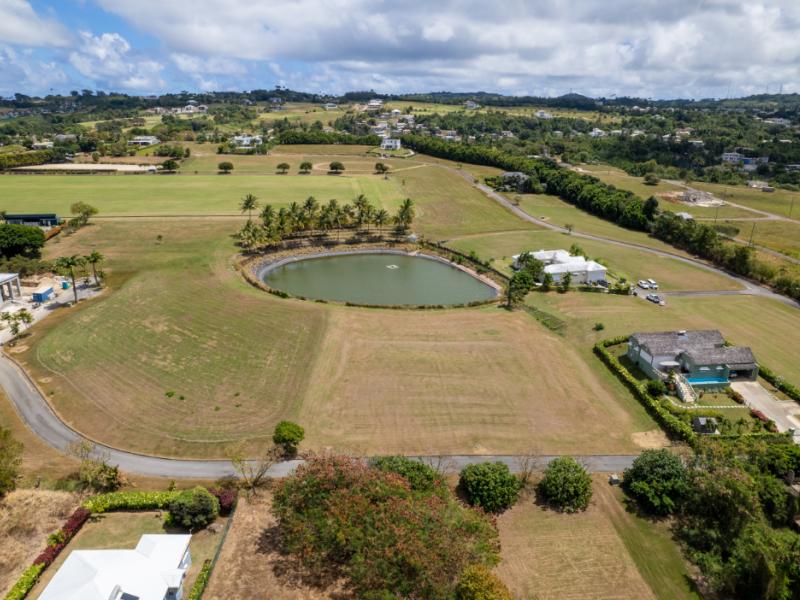 Apes Hill Polo Estate Lot 37 , Apes Hill , St James , West Coast  