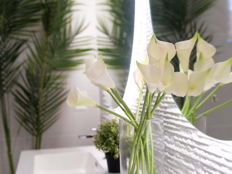 Solaris Beach House - Beachfront , Beach Front , Lower Carlton , St James , West Coast  