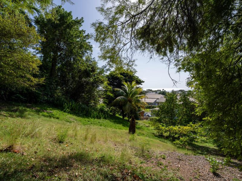 Hill House - Mount Standfast , Porters , St James , West Coast  