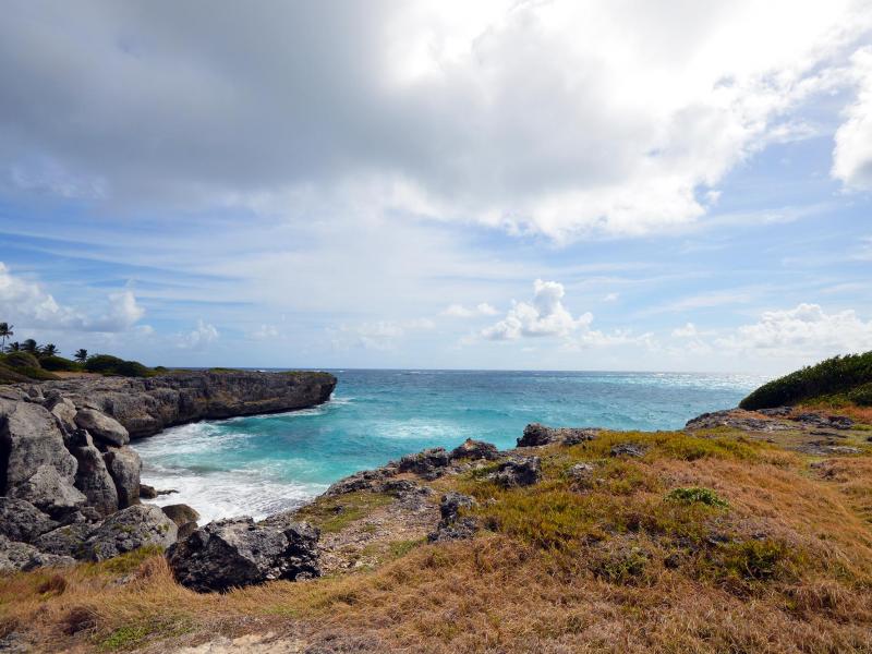 Moondancer, Bottom Bay , St Philip  