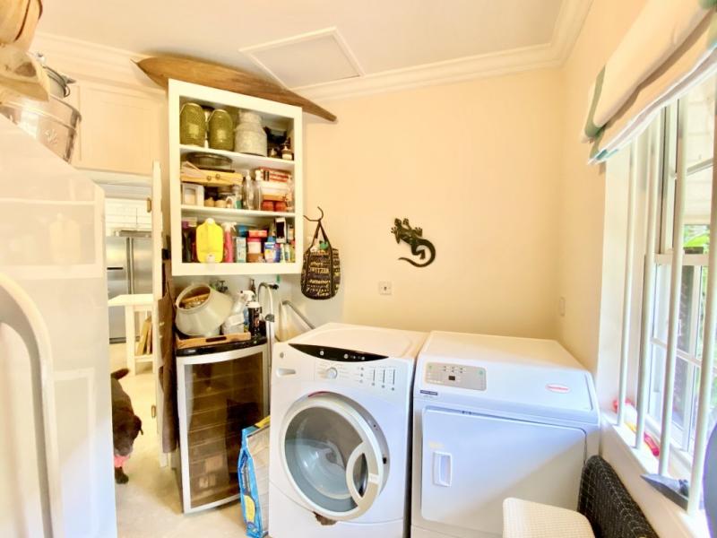 Hocus Pocus , Christ Church  , South Coast  